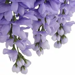 Budget ⭐ 12 Pack: Purple Wisteria Bush by Ashland® 🔥 -Ashland Sale Store 10677451 6 1