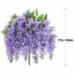 Budget ⭐ 12 Pack: Purple Wisteria Bush by Ashland® 🔥 -Ashland Sale Store 10677451 7 1