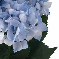 Hot Sale ⌛ 12 Pack: Light Blue Hydrangea Bush by Ashland® 🌟 -Ashland Sale Store 10677452 20