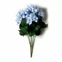 Best reviews of 👏 Light Blue Hydrangea Bush by Ashland® 😀 -Ashland Sale Store 10677452 21 1