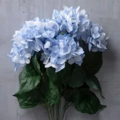 Best reviews of 👏 Light Blue Hydrangea Bush by Ashland® 😀 -Ashland Sale Store 10677452 22 1