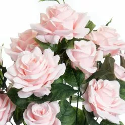 New ⌛ 12 Pack: Pink Rose Bush by Ashland® 🔔 9 New ⌛ 12 Pack: Pink Rose Bush by Ashland® 🔔 -Ashland Sale Store 10677454 2