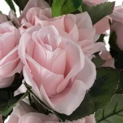 New ⌛ 12 Pack: Pink Rose Bush by Ashland® 🔔 11 New ⌛ 12 Pack: Pink Rose Bush by Ashland® 🔔 -Ashland Sale Store 10677454 20