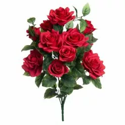 Best reviews of ⌛ 12 Pack: Red Rose Bush by Ashland® 🔥