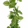 Buy ⌛ 6 Pack: 6ft. Greenery Garland by Ashland® 👍 1 Buy ⌛ 6 Pack: 6ft. Greenery Garland by Ashland® 👍 -Ashland Sale Store 10677457 2 1