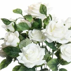 Best reviews of 🎉 White Rose Bush by Ashland® ❤️ -Ashland Sale Store 10677458 2