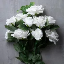 Best reviews of 🎉 White Rose Bush by Ashland® ❤️ -Ashland Sale Store 10677458 22