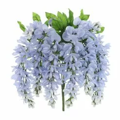 Top 10 🛒 12 Pack: Blue Wisteria Bush by Ashland® 🌟