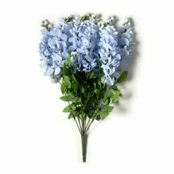 Best Pirce ✔️ Blue Wisteria Bush by Ashland® 😉 -Ashland Sale Store 10677460 21