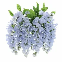 Best Pirce ✔️ Blue Wisteria Bush by Ashland® 😉 -Ashland Sale Store 10677460 5