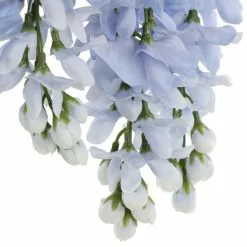 Top 10 🛒 12 Pack: Blue Wisteria Bush by Ashland® 🌟 11 Top 10 🛒 12 Pack: Blue Wisteria Bush by Ashland® 🌟 -Ashland Sale Store 10677460 6 1