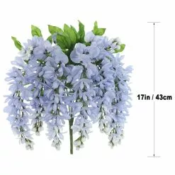 Top 10 🛒 12 Pack: Blue Wisteria Bush by Ashland® 🌟 12 Top 10 🛒 12 Pack: Blue Wisteria Bush by Ashland® 🌟 -Ashland Sale Store 10677460 7 1
