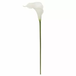 Outlet 🔥 White Calla Lily Stem by Ashland® 🧨
