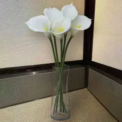 Outlet 🔥 White Calla Lily Stem by Ashland® 🧨 -Ashland Sale Store 10679176 4