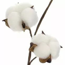 Coupon ⌛ Cotton Stem by Ashland® 😀 -Ashland Sale Store 10679177 2