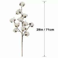 Coupon ⌛ Cotton Stem by Ashland® 😀 -Ashland Sale Store 10679177 3