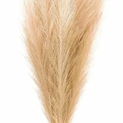 Budget ❤️ Wispy Pampas Grass Stem by Ashland® ✨ -Ashland Sale Store 10679178 2