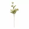 Wholesale ⌛ Cream Peony Stem by Ashland® ✔️ -Ashland Sale Store 10679180 1