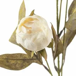 Wholesale ⌛ Cream Peony Stem by Ashland® ✔️ -Ashland Sale Store 10679180 20