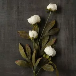 Wholesale ⌛ Cream Peony Stem by Ashland® ✔️ -Ashland Sale Store 10679180 25