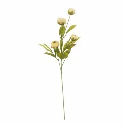 Deals 😍 Tan Peony Stem by Ashland® 😉