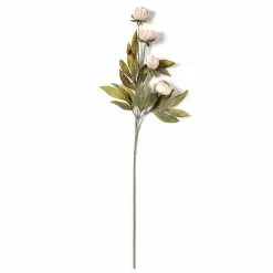 Deals 😍 Tan Peony Stem by Ashland® 😉 -Ashland Sale Store 10679183 21
