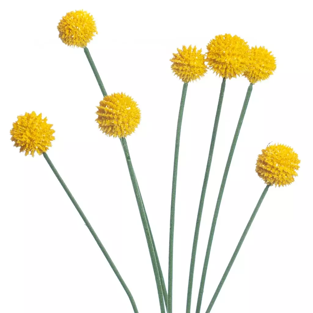 Outlet 🔔 Yellow Billy Ball Stem by Ashland® 😉 4 Outlet 🔔 Yellow Billy Ball Stem by Ashland® 😉 - Image 2