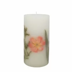 Best reviews of 🔔 Home Fragrance Collection 3" x 6" Peony & Rose Scented Pillar Candle by Ashland® 🔥