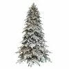 Best reviews of ✔️ 7.5ft. Pre-Lit Fir Artificial Christmas Tree, Clear Lights by Ashland® 🥰 -Ashland Sale Store 10694560 1