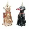Discount ⭐ Assorted 4" Glass Lab 😉 Dog Ornament by Ashland® ❄ Christmas ⭐ 1 Discount ⭐ Assorted 4" Glass Lab 😉 Dog Ornament by Ashland® ❄ Christmas ⭐ -Ashland Sale Store 10697622 1