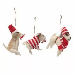 Brand new 🛒 Assorted Wool Dog Ornament by Ashland® 👍