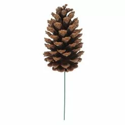 Best Sale ✨ Pinecone Pick by Ashland® ❤️