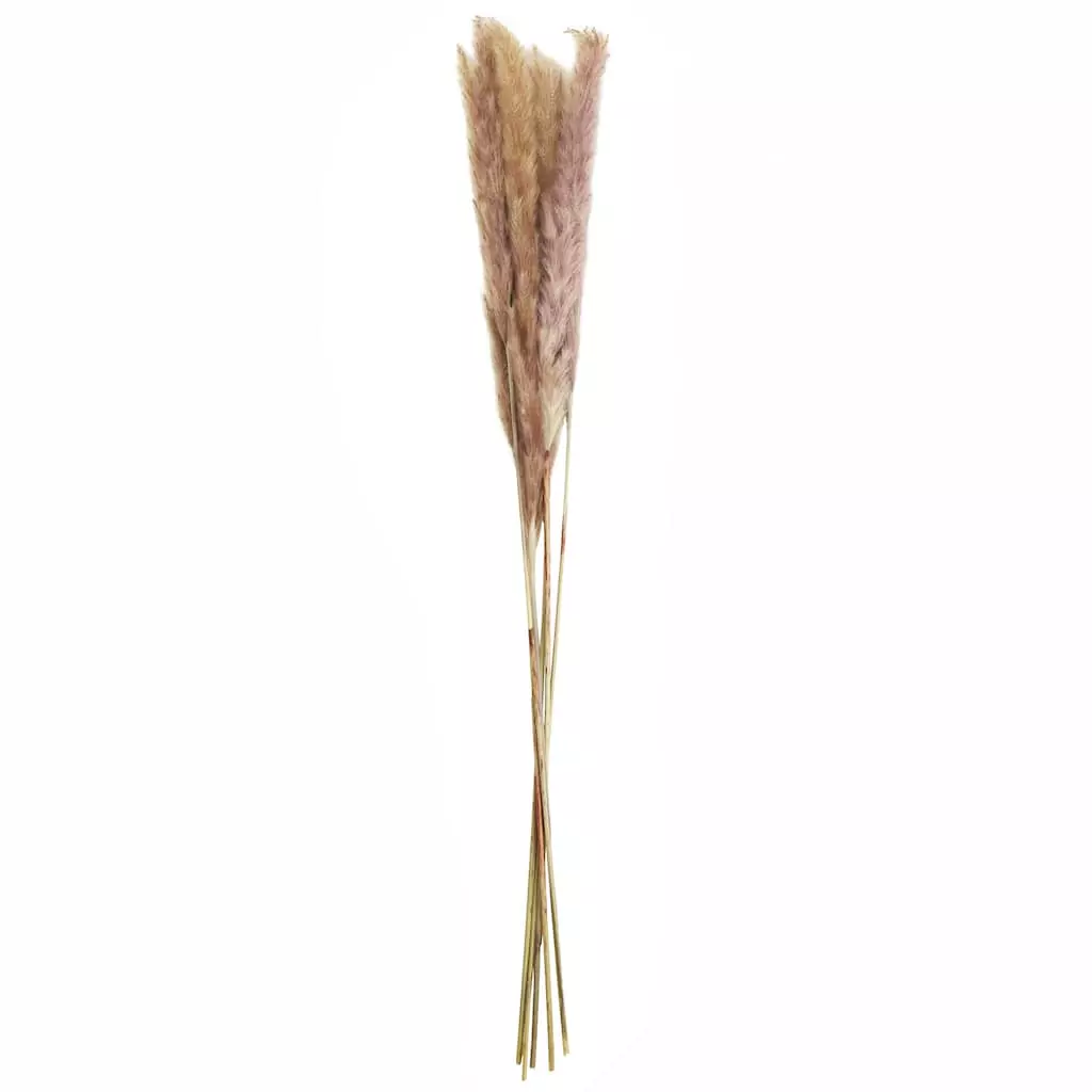 Discount ⭐ 6 Pack: Mini Natural Brown Pampas Bunch by Ashland® ✨ 3 Discount ⭐ 6 Pack: Mini Natural Brown Pampas Bunch by Ashland® ✨
