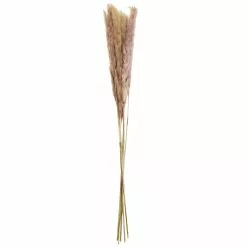 Buy 👍 Mini Natural Brown Pampas Bunch by Ashland® 😍