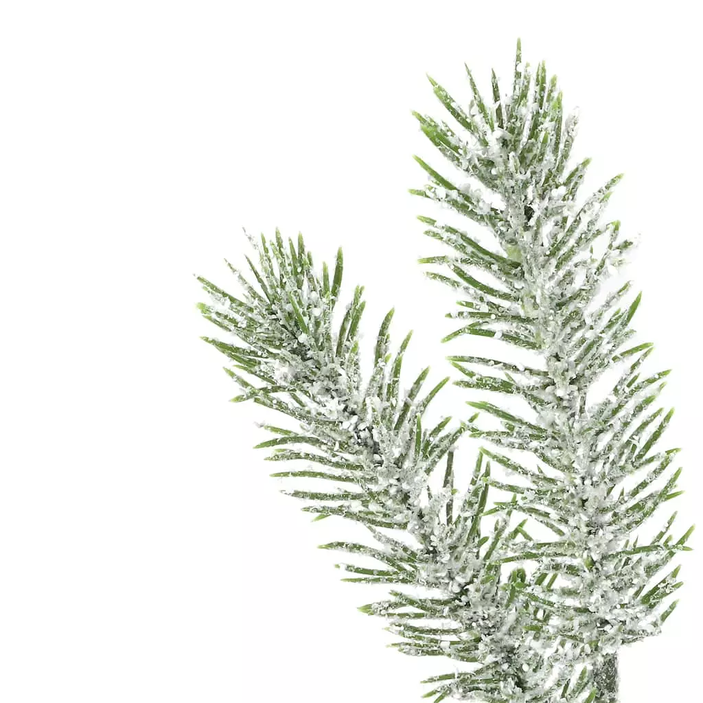 Coupon 🤩 Assorted Mini Pine Bundle by Ashland® 😉 8 Coupon 🤩 Assorted Mini Pine Bundle by Ashland® 😉 - Image 6