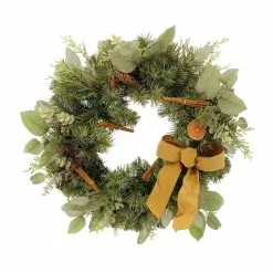Coupon 😀 24" Holiday Spice Wreath by Ashland® 💯