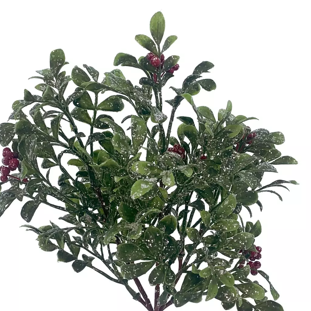 Best Pirce 👏 Glitz Boxwood & Berry Pick by Ashland® ✨ 4 Best Pirce 👏 Glitz Boxwood & Berry Pick by Ashland® ✨ - Image 2
