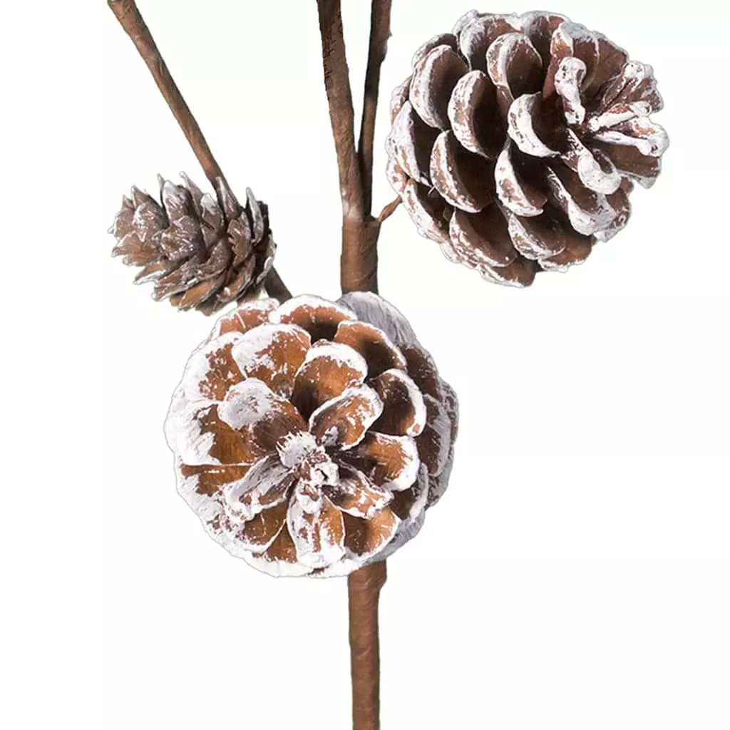 Best reviews of ✔️ Snowy Pinecones Pick by Ashland® ✨ 4 Best reviews of ✔️ Snowy Pinecones Pick by Ashland® ✨ - Image 2