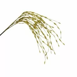 Flash Sale ❤️ Gold Grass Pick by Ashland® ⌛ -Ashland Sale Store 10699314 2