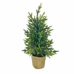 Best reviews of 🎉 18" Christmas Tree Tabletop Accent in Rattan Pot by Ashland® 🔥