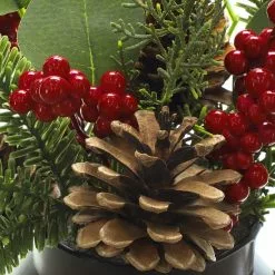 Deals 👏 14" Mixed Pine, Pinecone & Berry Arrangement by Ashland® ❤️ 7 Deals 👏 14" Mixed Pine, Pinecone & Berry Arrangement by Ashland® ❤️ -Ashland Sale Store 10699351 3