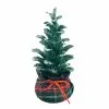 Top 10 ✔️ 8'' Small 🌟 Christmas Tree with Base Tabletop Décor by Ashland® ❤️ -Ashland Sale Store 10699561 1