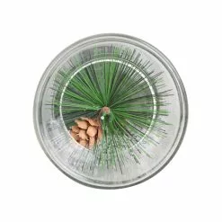 Best Pirce 🔔 6" Pine Leaf Glass Tealight Holder by Ashland® 😍 10 Best Pirce 🔔 6" Pine Leaf Glass Tealight Holder by Ashland® 😍 -Ashland Sale Store 10699910 4