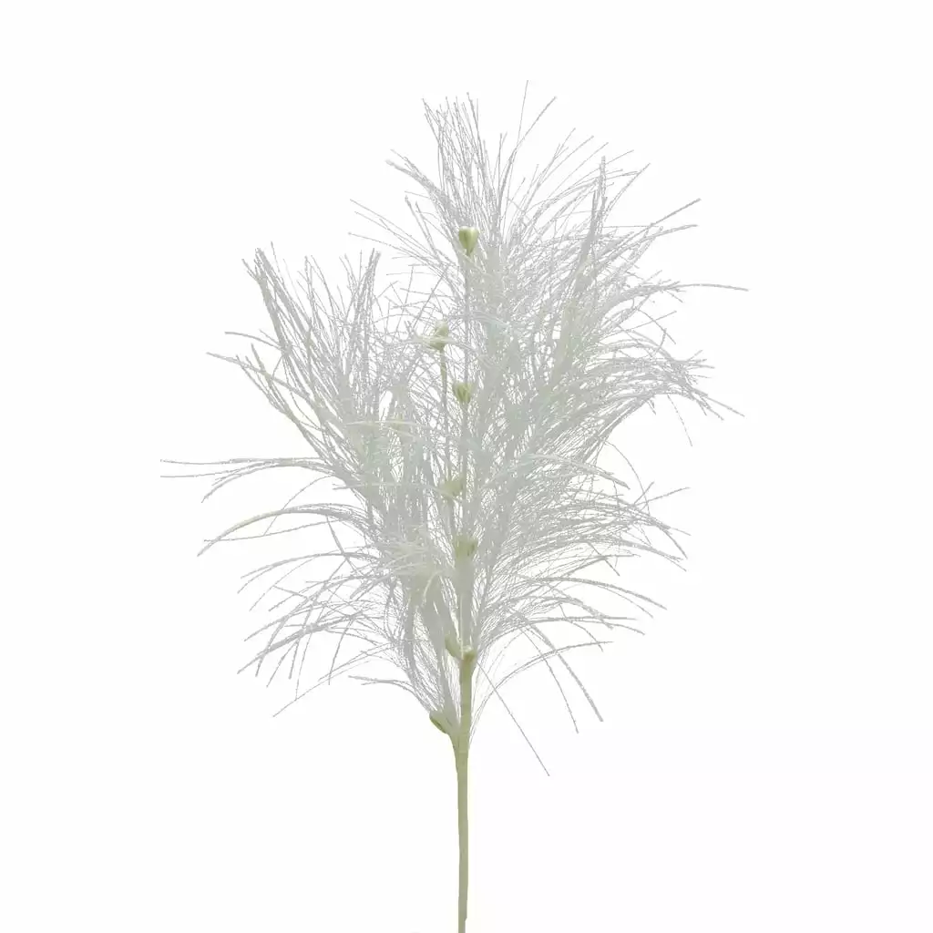 Flash Sale ❤️ Assorted Pampas Grass & Pip Pick by Ashland® ❄ Christmas ✔️ 4 Flash Sale ❤️ Assorted Pampas Grass & Pip Pick by Ashland® ❄ Christmas ✔️ - Image 2