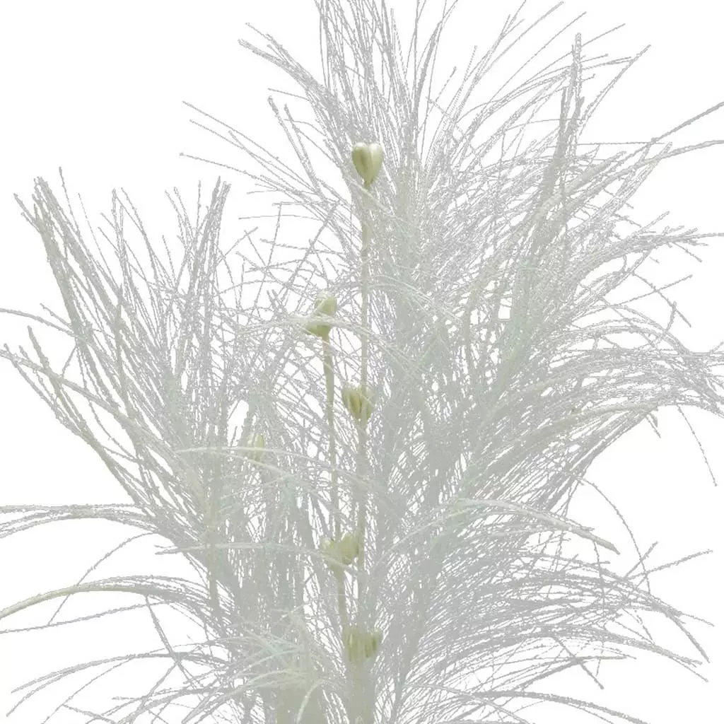 Flash Sale ❤️ Assorted Pampas Grass & Pip Pick by Ashland® ❄ Christmas ✔️ 5 Flash Sale ❤️ Assorted Pampas Grass & Pip Pick by Ashland® ❄ Christmas ✔️ - Image 3