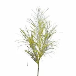 Flash Sale ❤️ Assorted Pampas Grass & Pip Pick by Ashland® ❄ Christmas ✔️ 10 Flash Sale ❤️ Assorted Pampas Grass & Pip Pick by Ashland® ❄ Christmas ✔️ -Ashland Sale Store 10700101 4