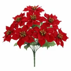 Cheap ✔️ Red Poinsettia Bush by Ashland® 🛒