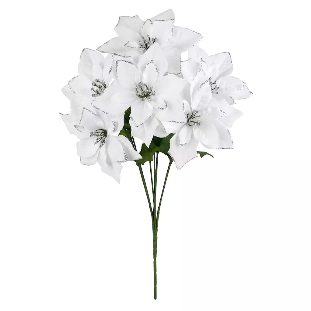 Best deal 💯 White & Silver Poinsettia Bush by Ashland® ✔️ 3 Best deal 💯 White & Silver Poinsettia Bush by Ashland® ✔️