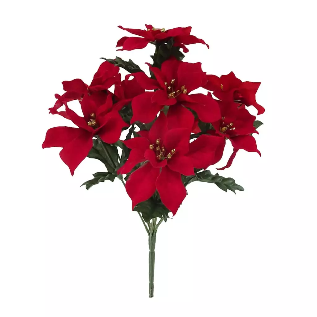 Cheap 😍 Crimson Poinsettia Bush by Ashland® 🔥 3 Cheap 😍 Crimson Poinsettia Bush by Ashland® 🔥