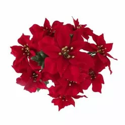 Cheap 😍 Crimson Poinsettia Bush by Ashland® 🔥 5 Cheap 😍 Crimson Poinsettia Bush by Ashland® 🔥 -Ashland Sale Store 10700141 2